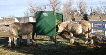 the big green feeder