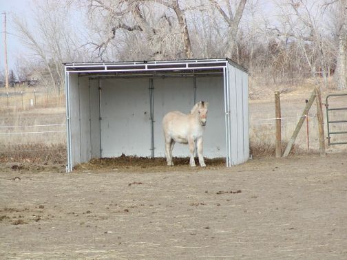 the shelter