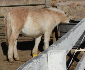 at the water tank