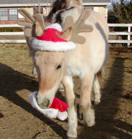 Santa Kez