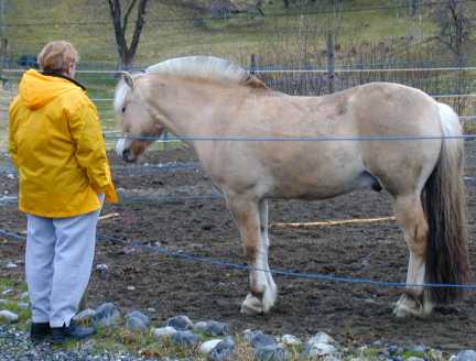 They get dirty in Norway, too..jpg (20413 bytes)