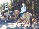 libby_trail_ride.jpg (18900 bytes)