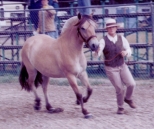 Beth_and_Sellie_pasdesdeux_small.jpg (21233 bytes)