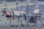 Cheryl Driving Vind_small.jpg (14447 bytes)