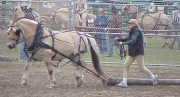 John_LogSkid_fredphoto_small.jpg (20349 bytes)