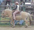 Magnum Western_small.jpg (18889 bytes)