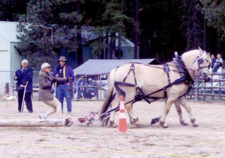 Magnum & John Arthur_Log Skid.jpg (127413 bytes)