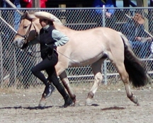 Anne and Misha halter72.jpg (41244 bytes)