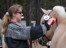 Anne_checking_microchip72.jpg (5811 bytes)