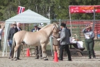 Brian_Jensen_and_Sambar_in_front_of_the_Evaluators.jpg (60323 bytes)