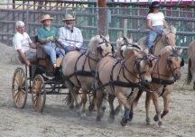 Four in hand warm up in arena_72.jpg (35781 bytes)