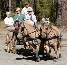 Four in hand with Arne, Dave and Phillip72.jpg (51634 bytes)