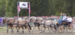 Four in hand with banner72.jpg (40560 bytes)