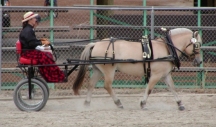 Hanne_and_Jeanne_driving72.jpg (5149 bytes)