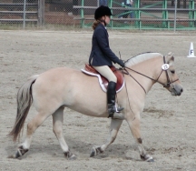 Hanne_and_Sami_riding_trot72.jpg (5805 bytes)