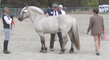 Kelley_Mills_and_MVF_Erlend.jpg (3927 bytes)