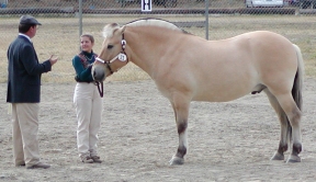Laree_Liermann_and_Budd.jpg (6717 bytes)