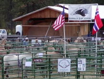 Libby_stable_area_3x2.jpg (41068 bytes)