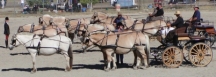 Line up unique hitch.jpg (64963 bytes)