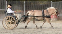 Maerta_driving72.jpg (4637 bytes)