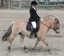 Maerta_riding_trot72.jpg (6075 bytes)