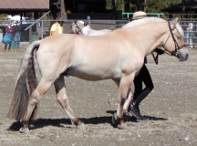 Misha.jpg (33937 bytes)