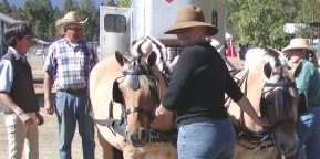 More Pit Crew with Susan.jpg (44833 bytes)