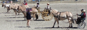 Novice driving class.jpg (33229 bytes)