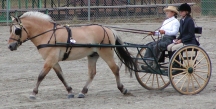 Obelisk_driving_centerline.jpg (25748 bytes)