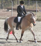 Obelisk_riding_trot_right.jpg (39058 bytes)