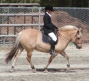 Orinke_riding_72.jpg (8066 bytes)