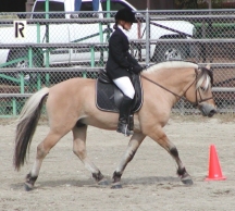 Romulus_and_Beth_riding72.jpg (7514 bytes)