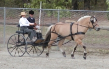 Romulus_driving72.jpg (28919 bytes)