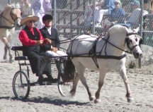 Sue driving Sara72.jpg (37323 bytes)