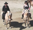 Zorro and Zena.jpg (42627 bytes)