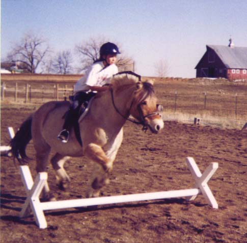 sami_jumpin1.jpg (42141 bytes)