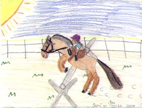 wwwsami_drawing.jpg (20579 bytes)