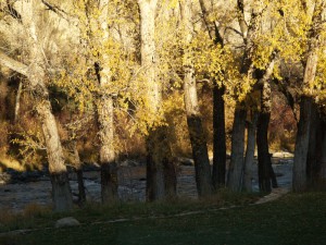 Eagle River at Diamond Star Ranch