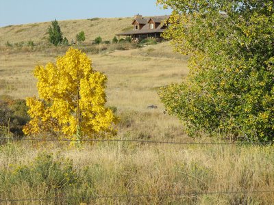 More Fall Colors